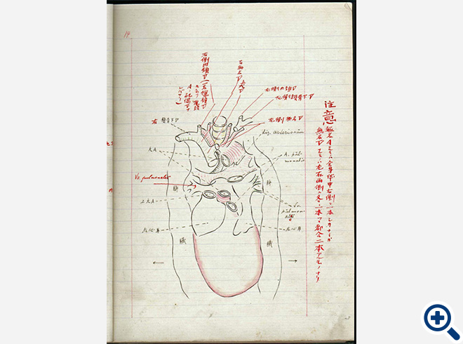 藤野先生が添削した魯迅のノート（複製）原資料は魯迅博物館(北京)所蔵.藤野教授の「脈管学（みゃくかんがく）」の講義。